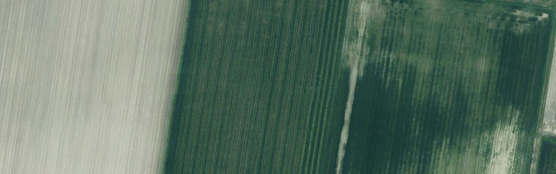 Satellietbeeld van Aardenburg