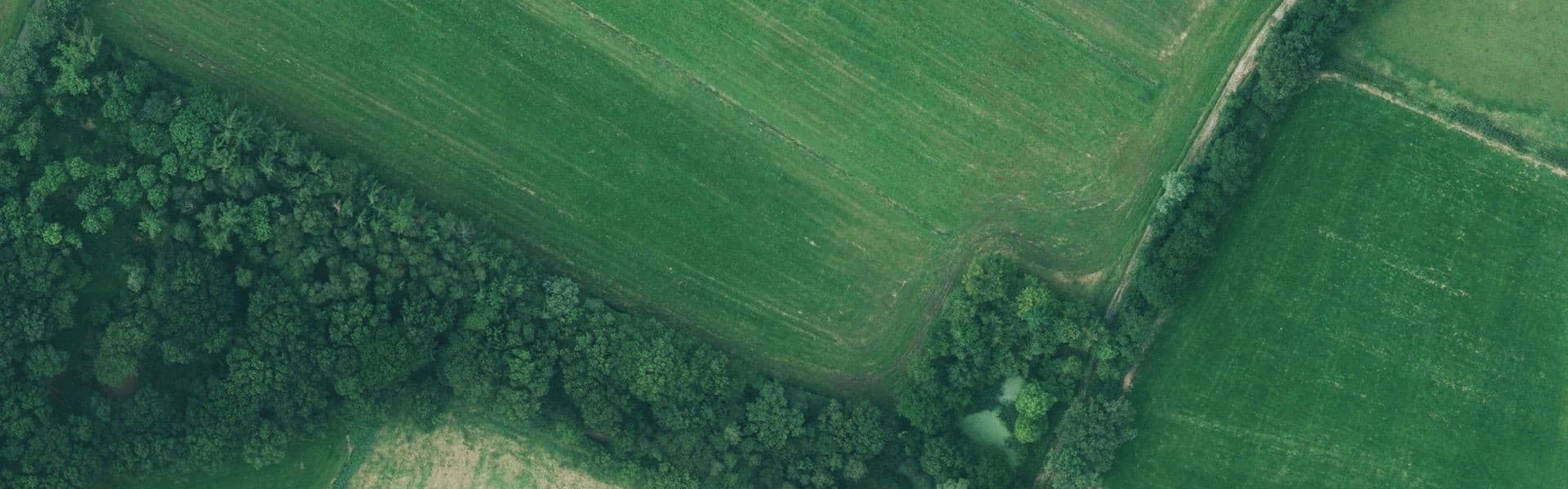 Satellietbeeld van Achterveld