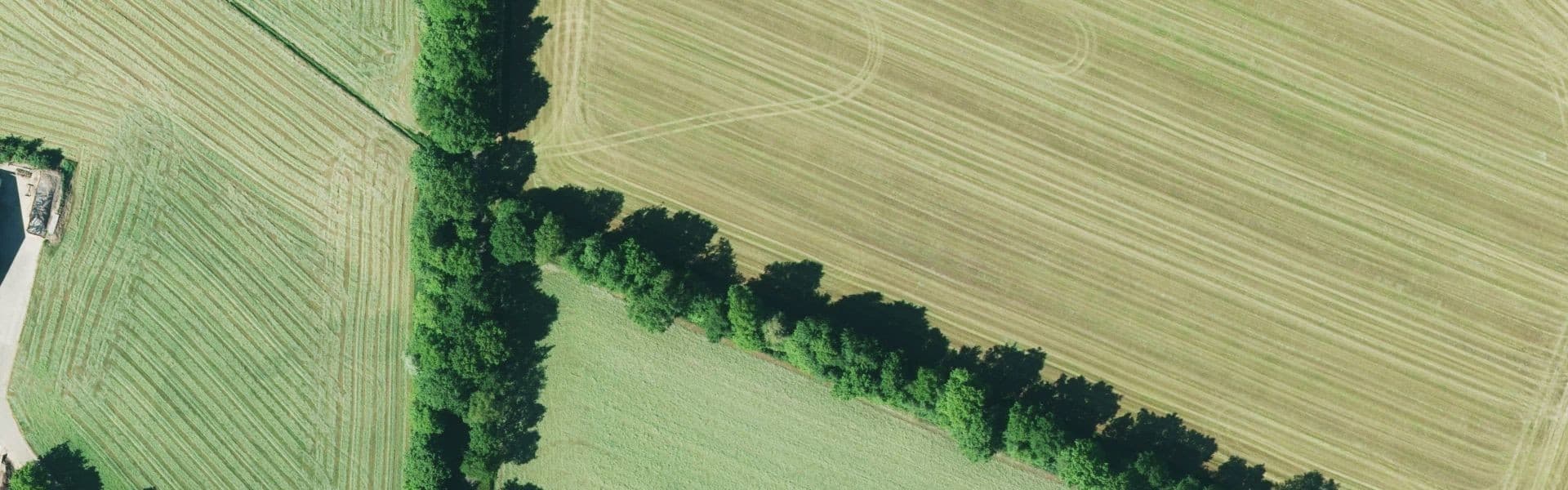 Satellietbeeld van Agelo