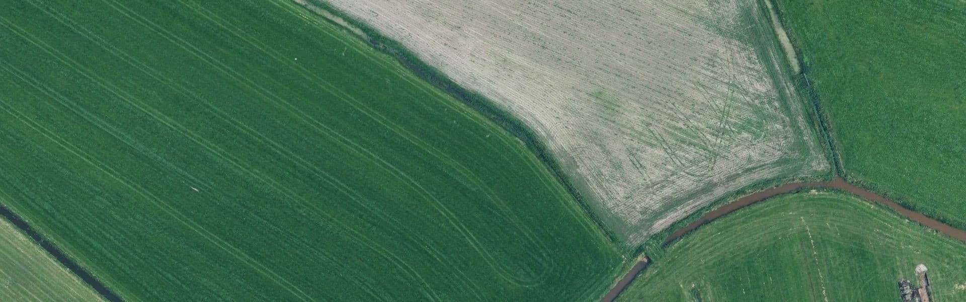 Satellietbeeld van Allingawier