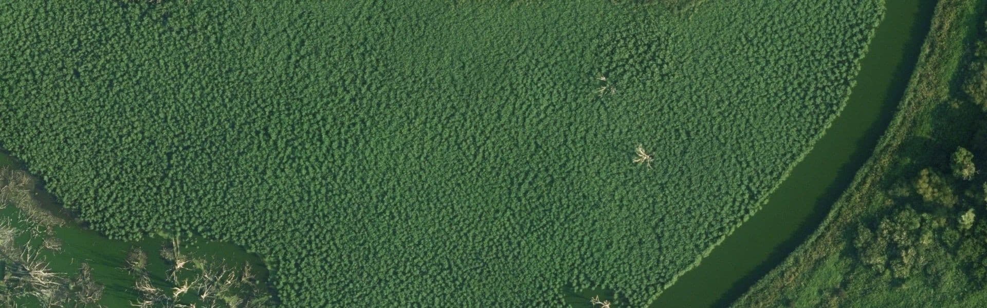 Satellietbeeld van Almere