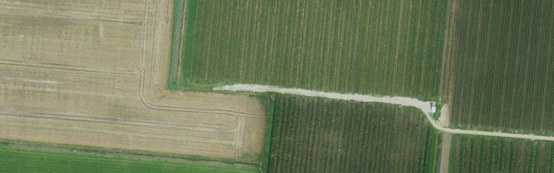 Satellietbeeld van Altforst