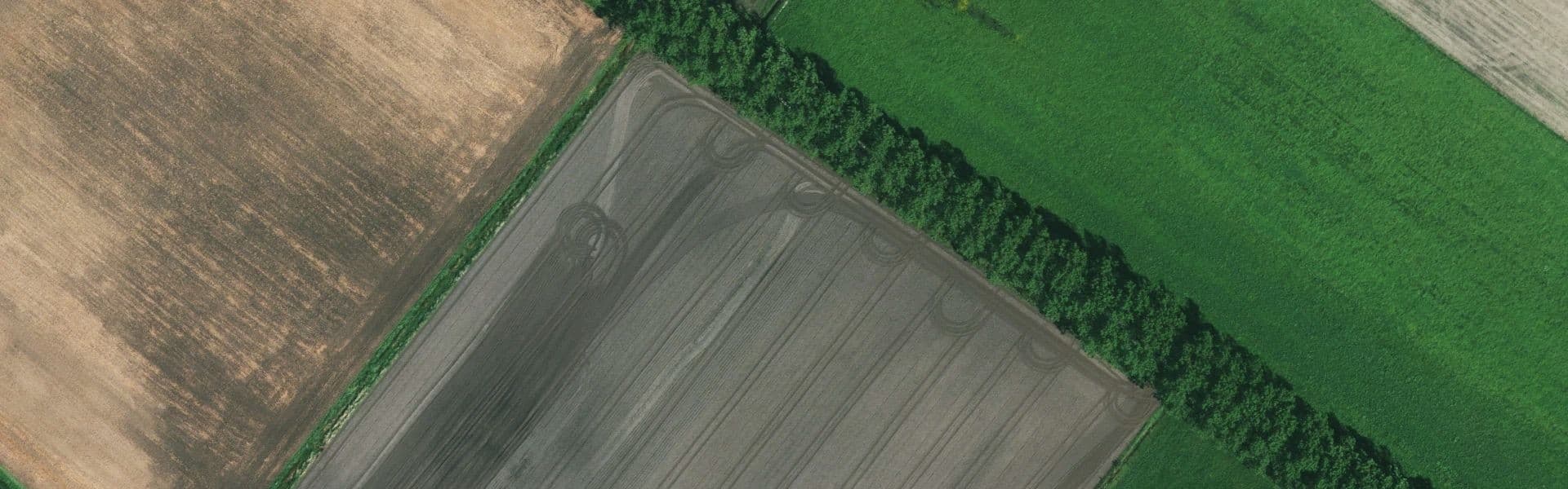 Satellietbeeld van Ane