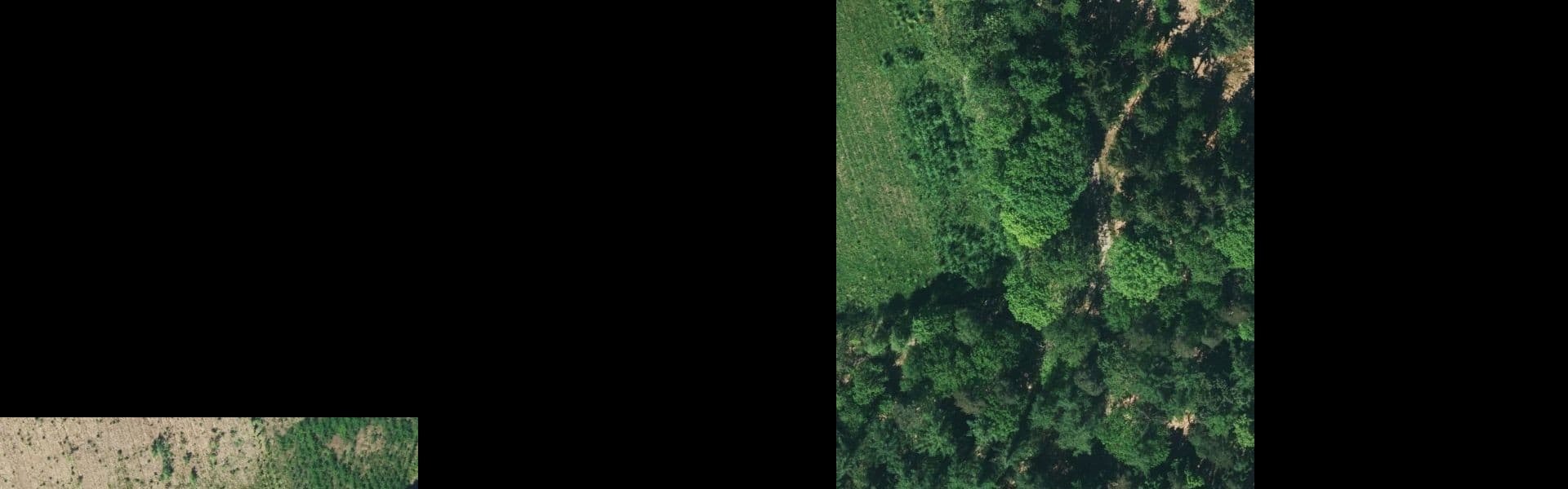 Satellietbeeld van Diffelen