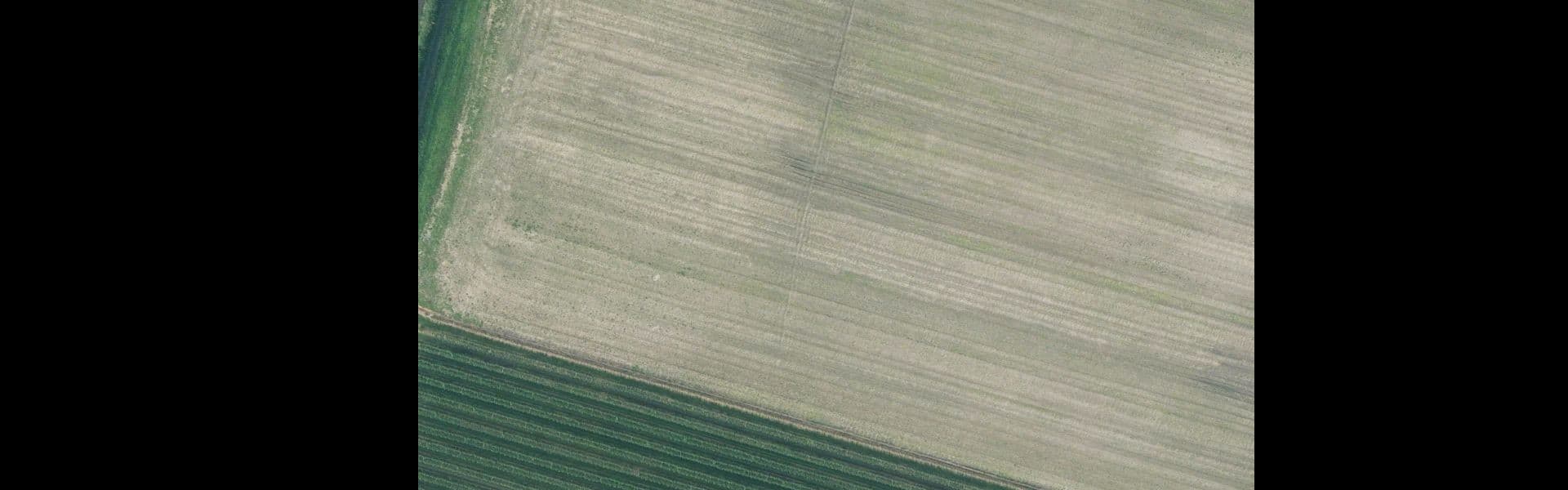 Satellietbeeld van Eede