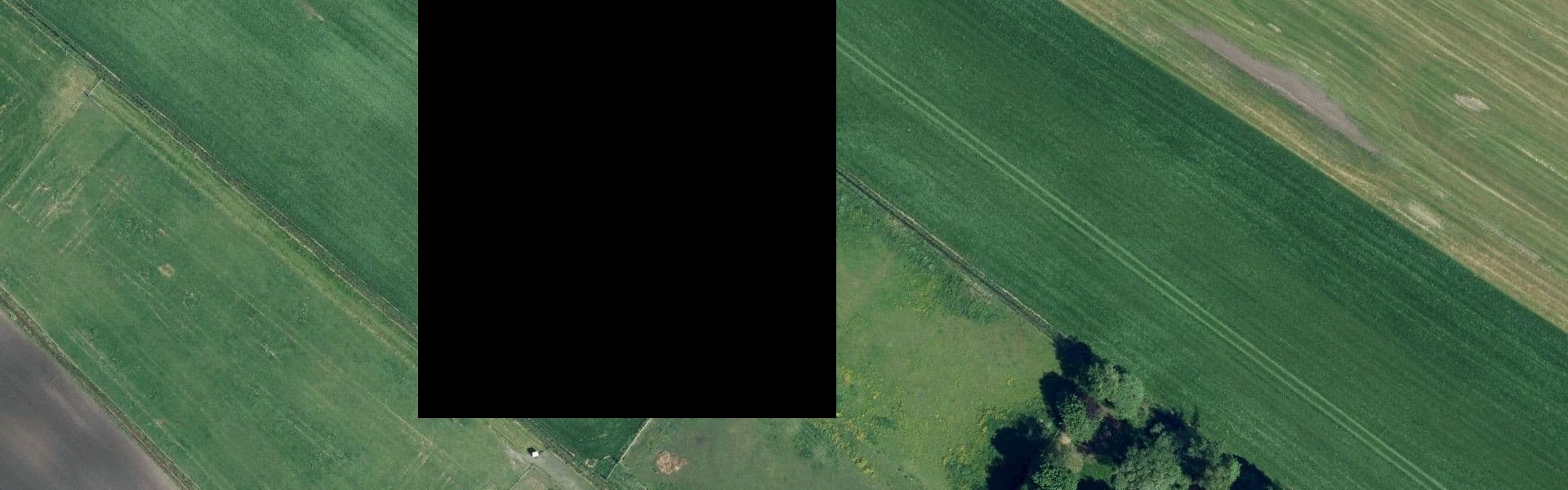 Satellietbeeld van Eesergroen