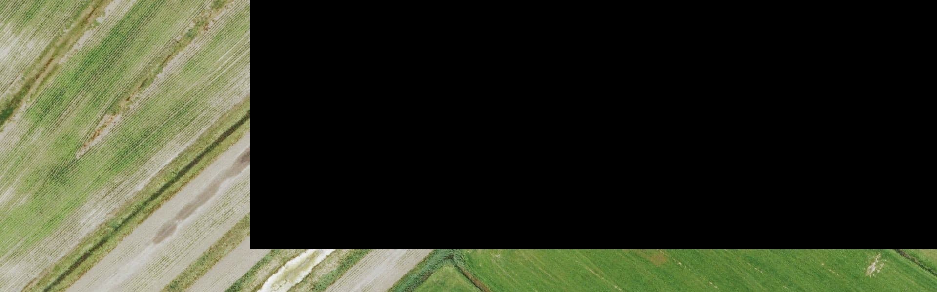 Satellietbeeld van Kerkwijk